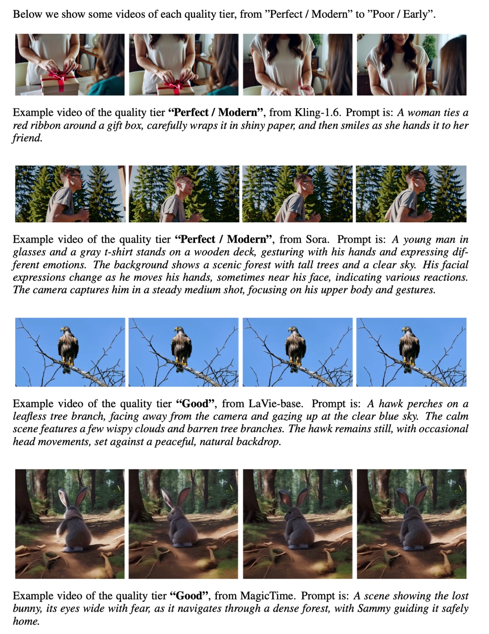 Video examples from different quality tiers
