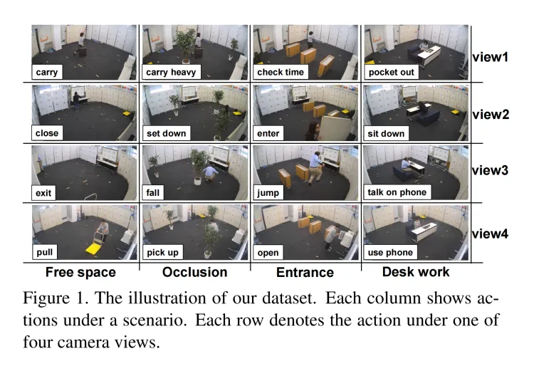 Examples of the MMAct Dataset
