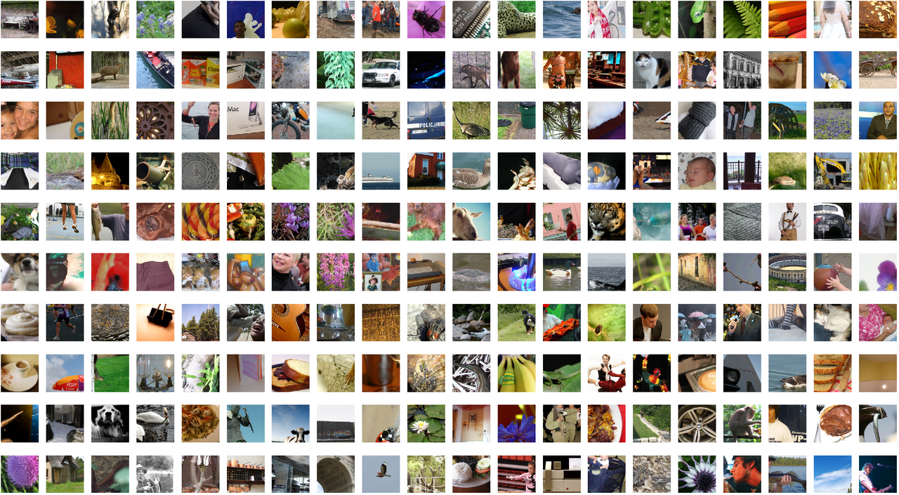 
    Image dataset
  