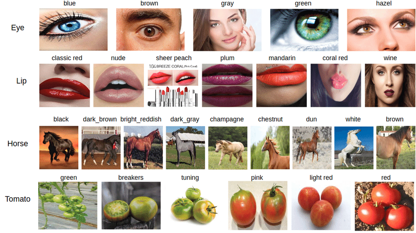 Examples from domain-specific datasets