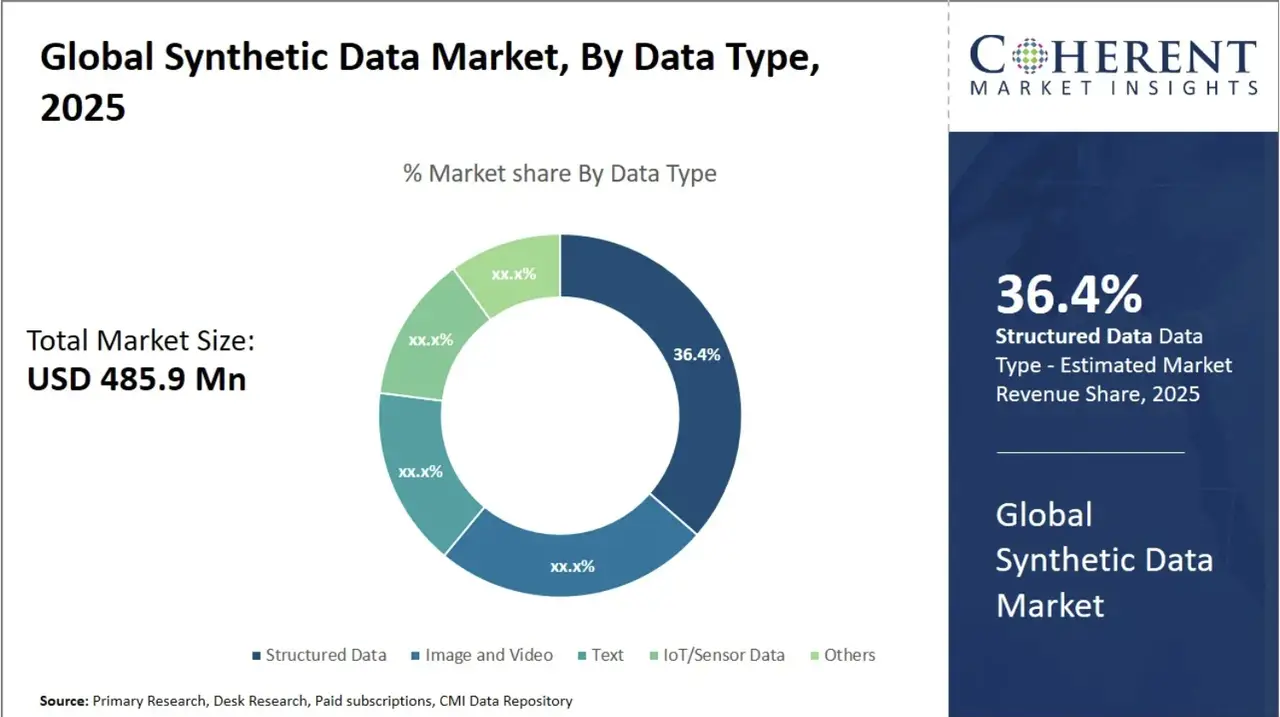 2025 Global Synthetic Data Market