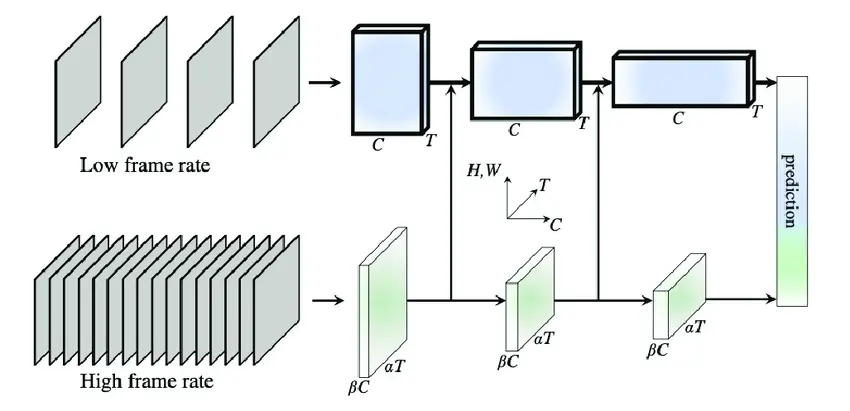 Slow-Fast Frame Distribution (ResearchGate)