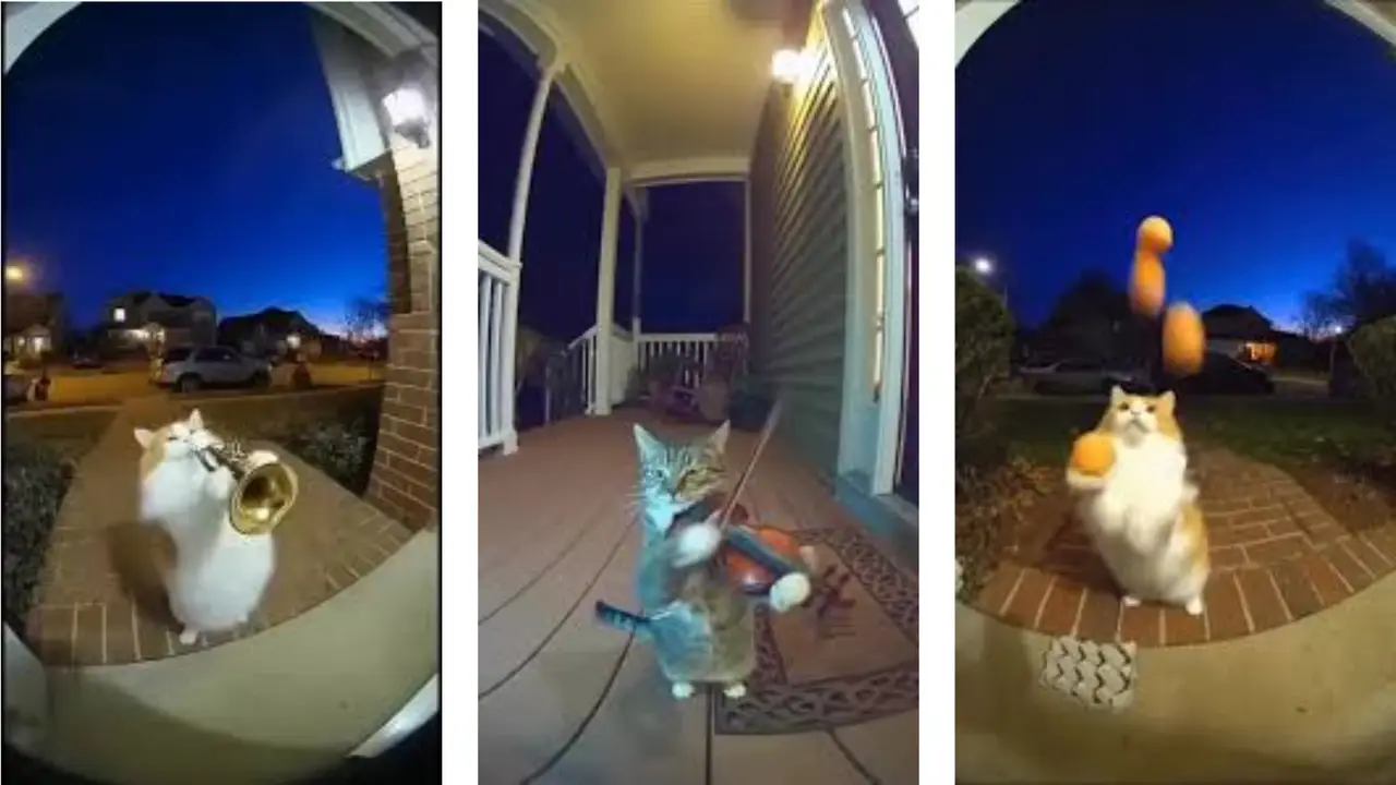 Ordinary Tuesday in a world of Sora